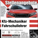 buzziol-kfz-mechaniker-fahrlehrer