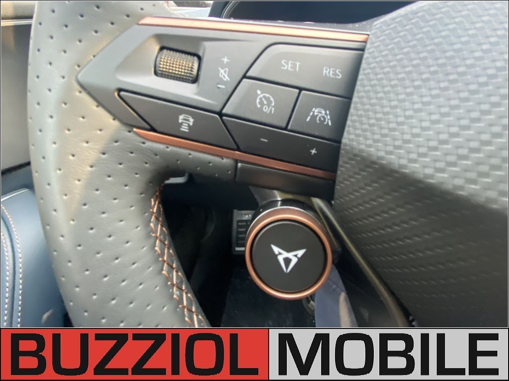 Fahrzeugabbildung CUPRA Formentor VZ5 2.5 TSI 4Drive DSG