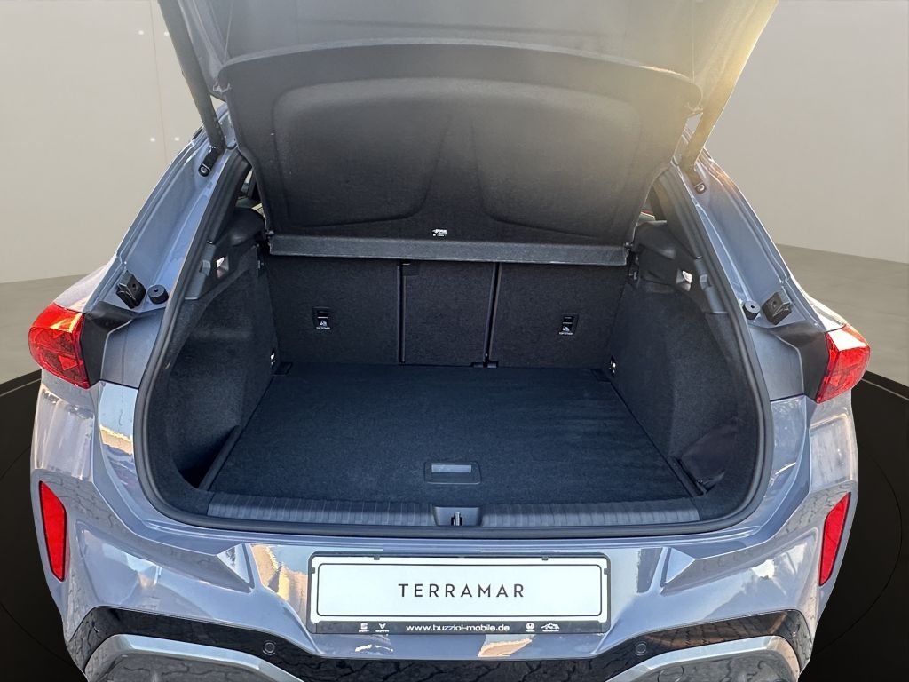 Fahrzeugabbildung CUPRA Terramar 2.0 TSI 4Drive DSG VZ