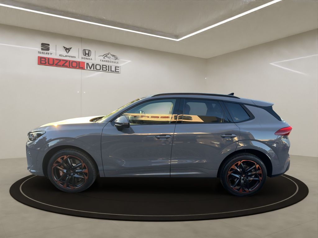 Fahrzeugabbildung CUPRA Terramar 2.0 TSI 4Drive DSG VZ