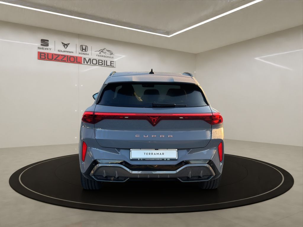 Fahrzeugabbildung CUPRA Terramar 2.0 TSI 4Drive DSG VZ