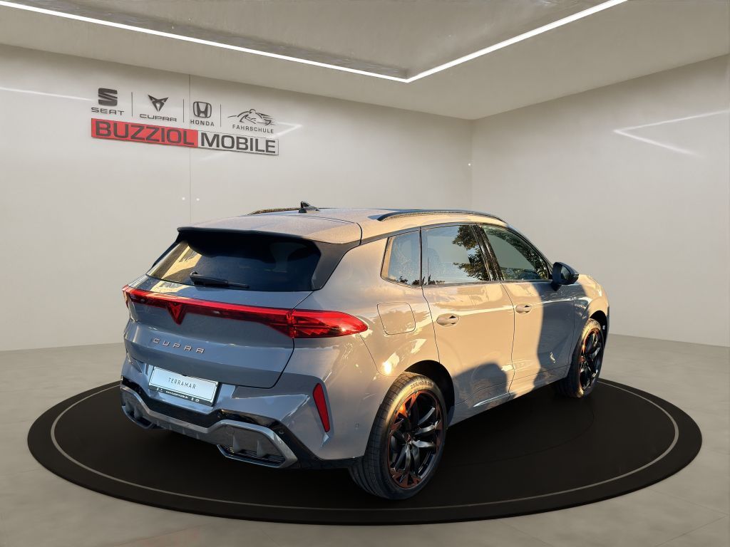 Fahrzeugabbildung CUPRA Terramar 2.0 TSI 4Drive DSG VZ