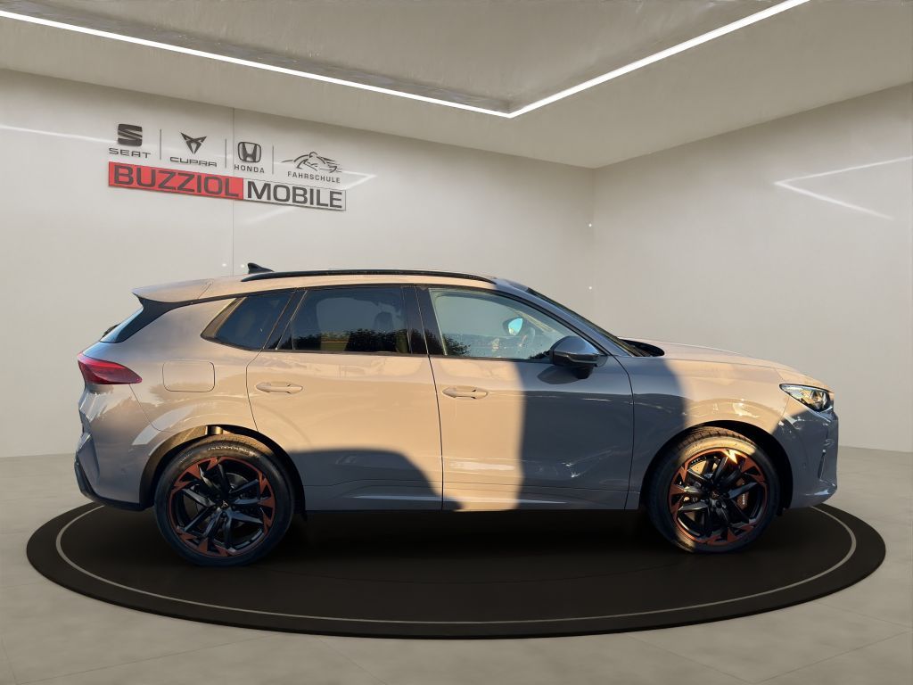 Fahrzeugabbildung CUPRA Terramar 2.0 TSI 4Drive DSG VZ