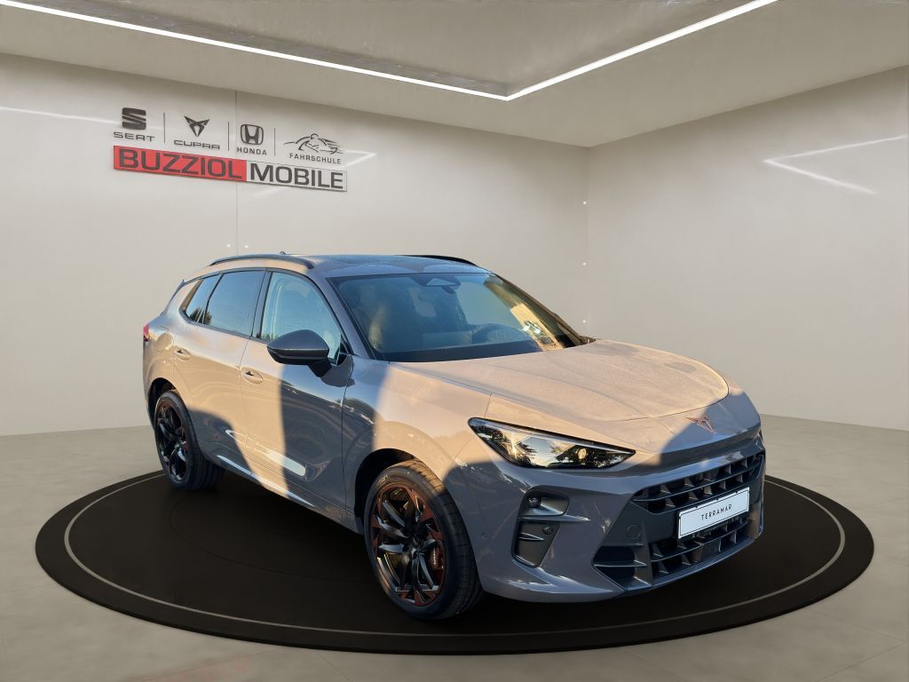 Fahrzeugabbildung CUPRA Terramar 2.0 TSI 4Drive DSG VZ