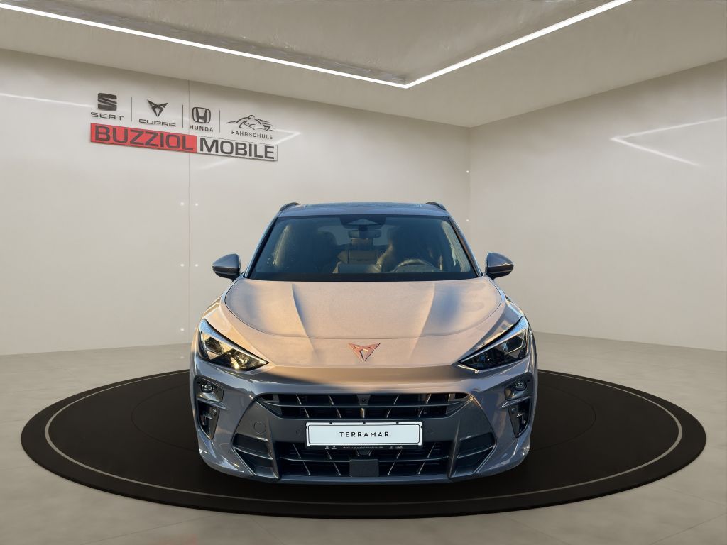 Fahrzeugabbildung CUPRA Terramar 2.0 TSI 4Drive DSG VZ
