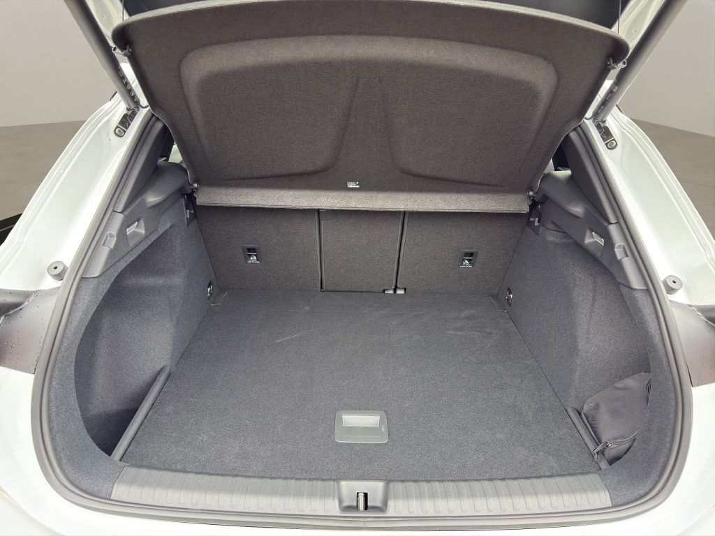 Fahrzeugabbildung CUPRA Terramar 2.0 TSI 4Drive DSG VZ