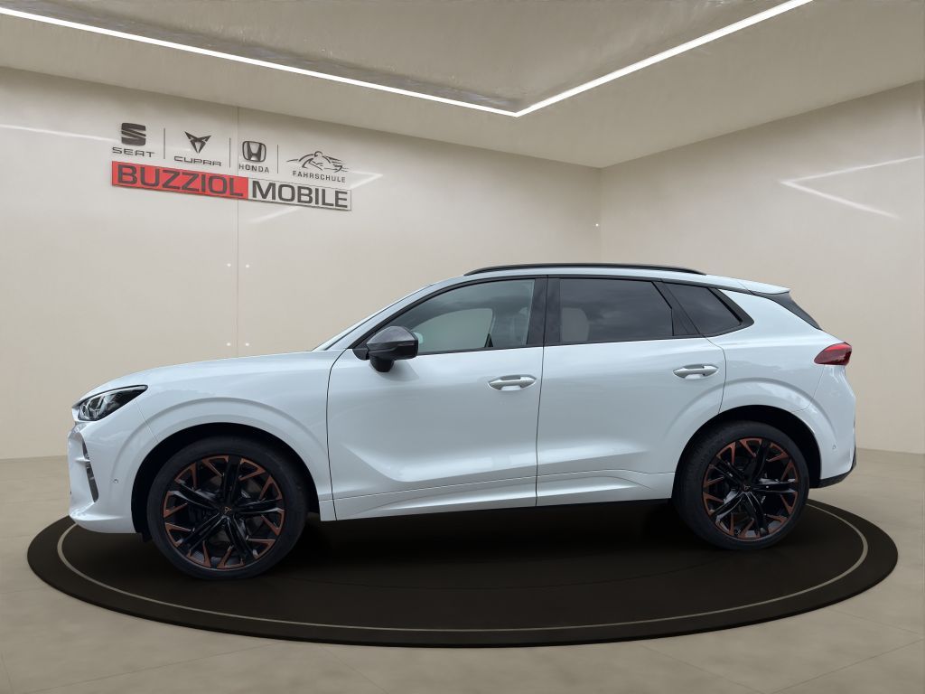 Fahrzeugabbildung CUPRA Terramar 2.0 TSI 4Drive DSG VZ