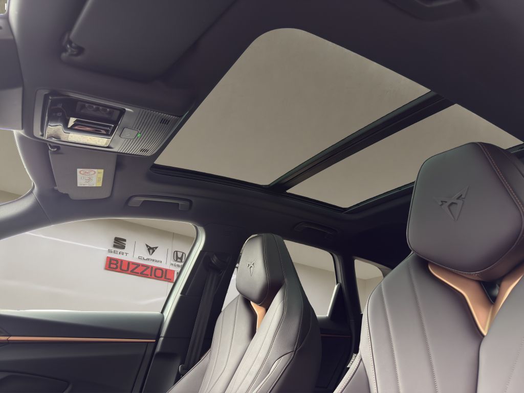 Fahrzeugabbildung CUPRA Terramar 2.0 TSI 4Drive DSG VZ