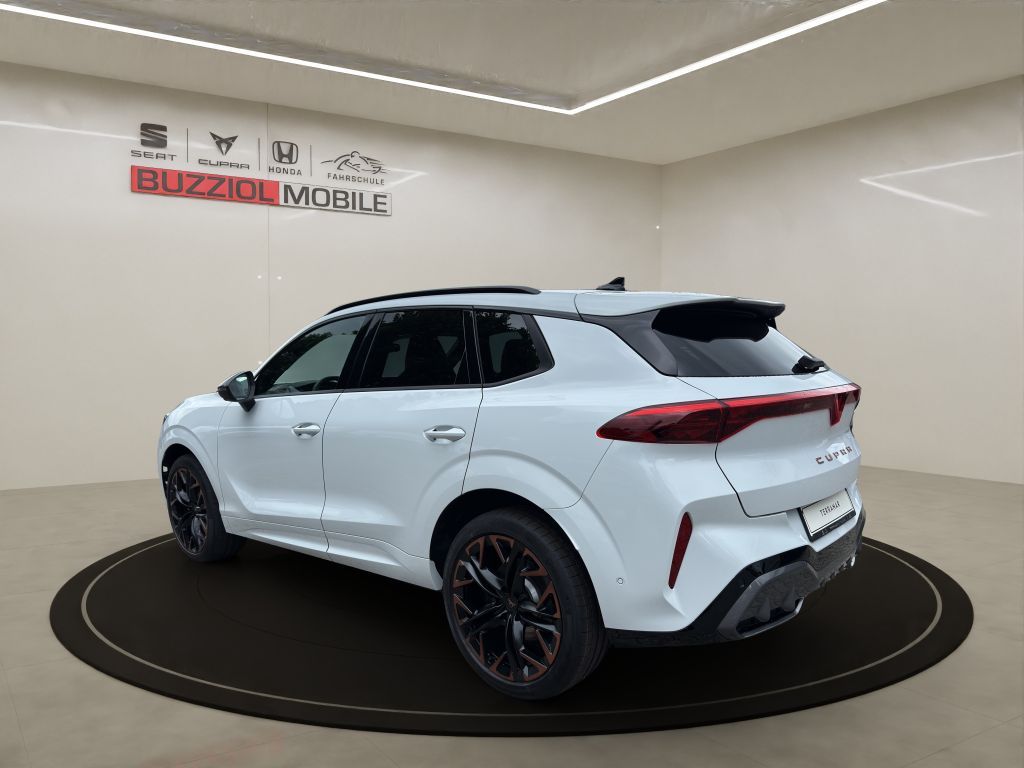 Fahrzeugabbildung CUPRA Terramar 2.0 TSI 4Drive DSG VZ