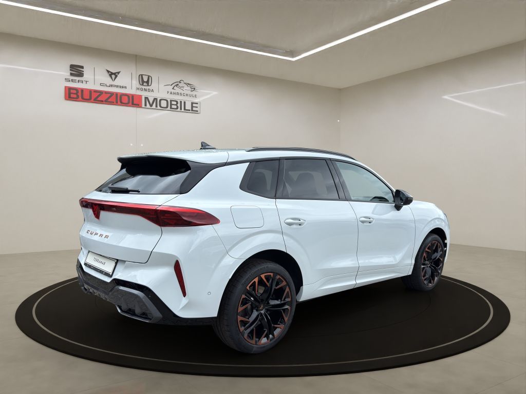 Fahrzeugabbildung CUPRA Terramar 2.0 TSI 4Drive DSG VZ