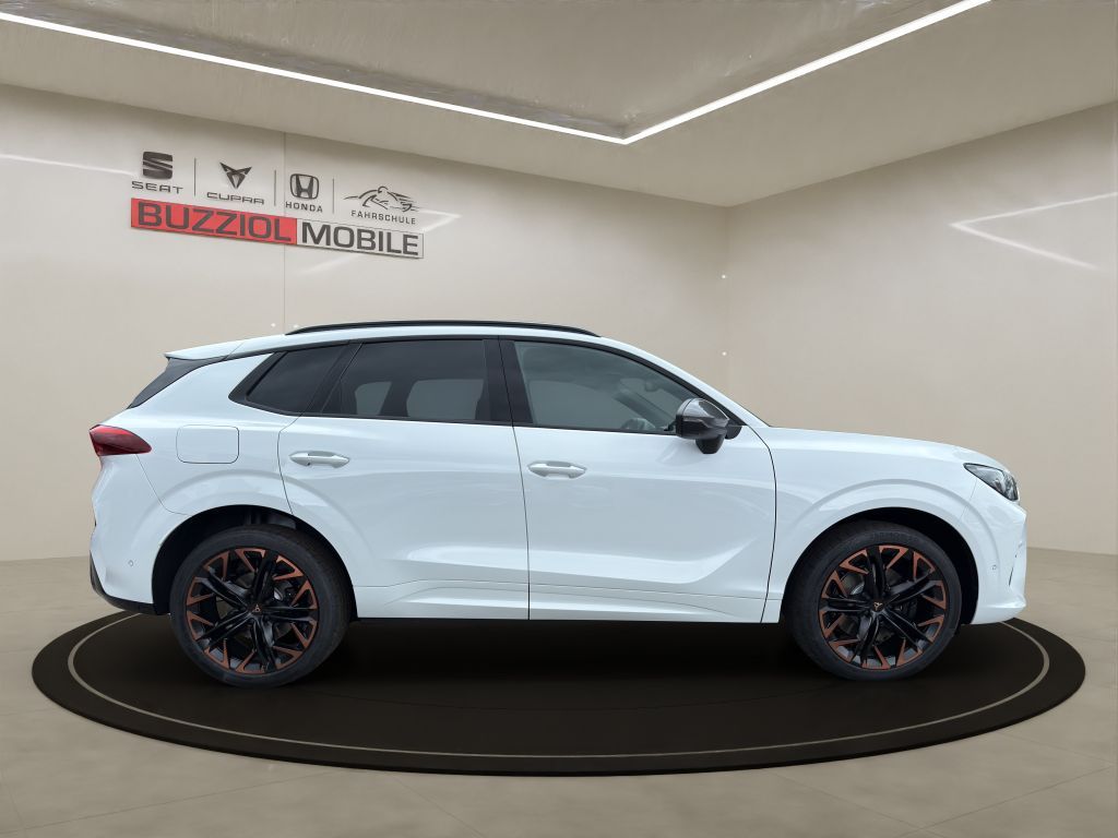 Fahrzeugabbildung CUPRA Terramar 2.0 TSI 4Drive DSG VZ