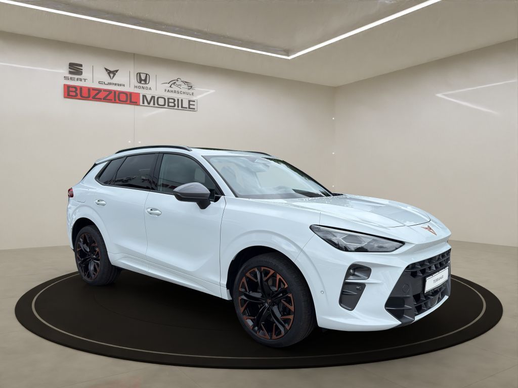 Fahrzeugabbildung CUPRA Terramar 2.0 TSI 4Drive DSG VZ
