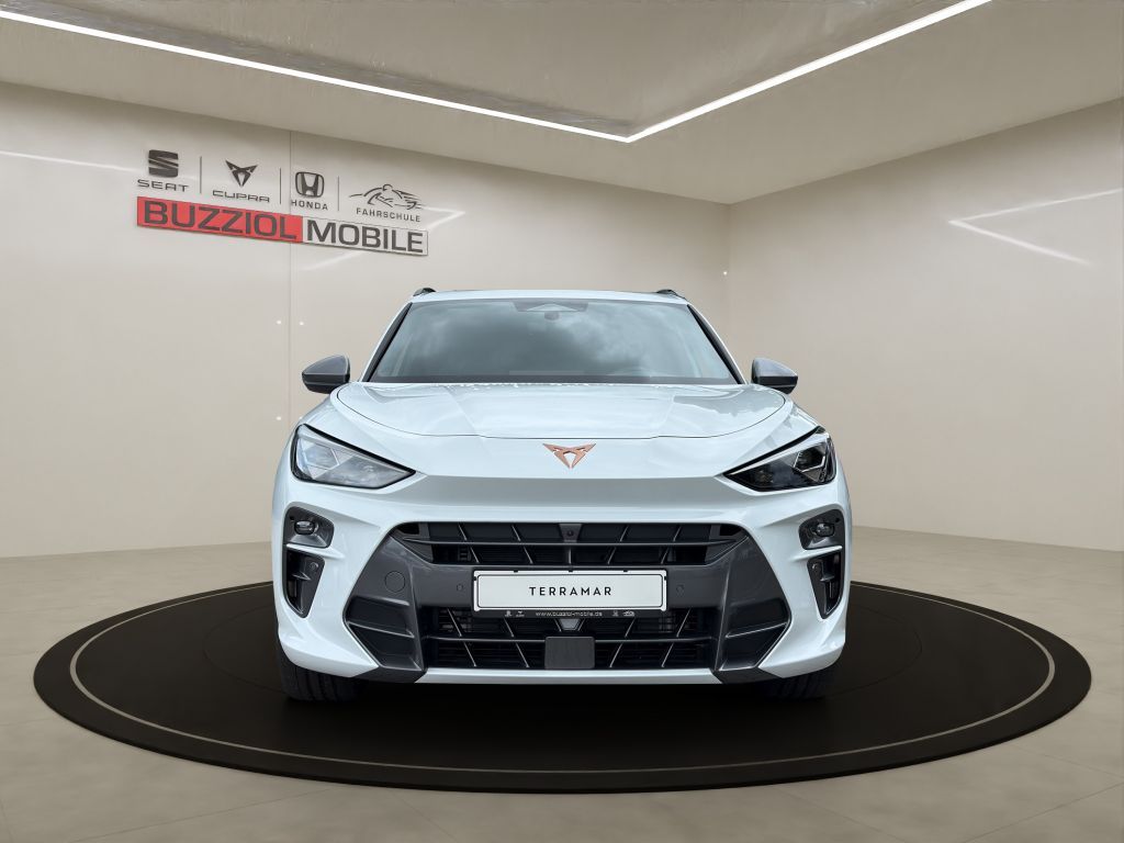 Fahrzeugabbildung CUPRA Terramar 2.0 TSI 4Drive DSG VZ
